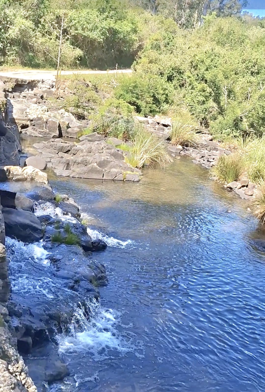 Commercial Property for Sale in Summerpride Eastern Cape